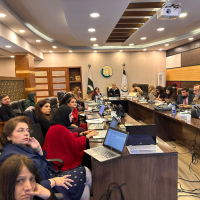 Workshop for NUST Faculty: January 2025
